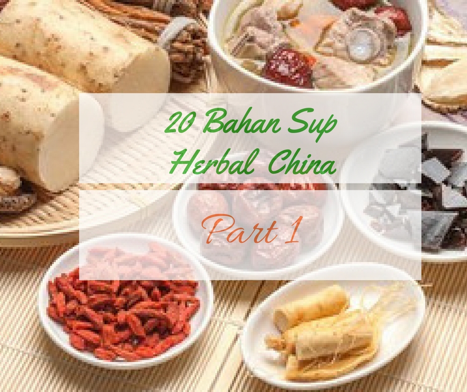 20 bahan Sup Herbal China Part 1