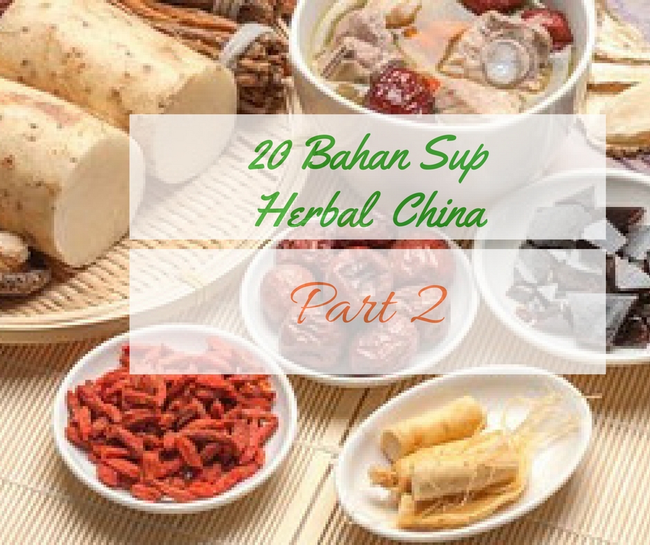 20 Bahan Sup Herbal China Part 2